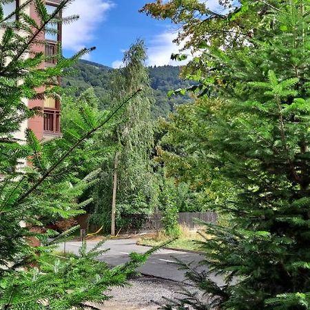 Sinaia Relax Residence Екстер'єр фото