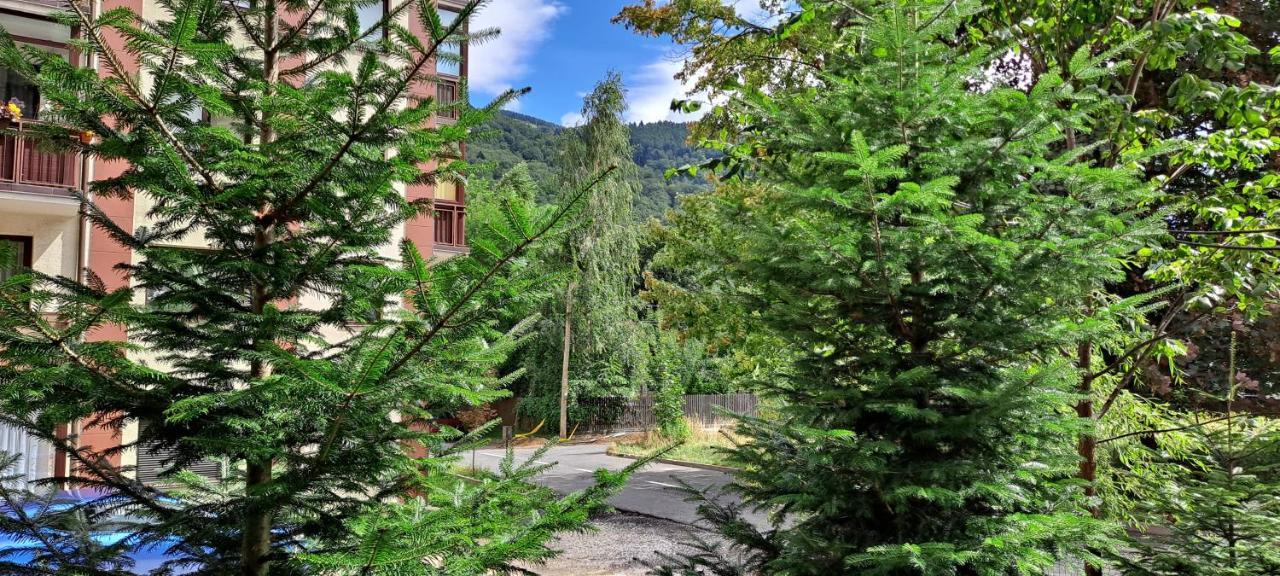 Sinaia Relax Residence Екстер'єр фото